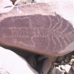 Gene thought that this rock had fallen over.