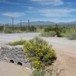Desert-Road