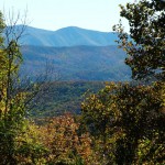 Blue-Ridge-Mts,-NC