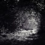 photo-1422220409531-539b75-c