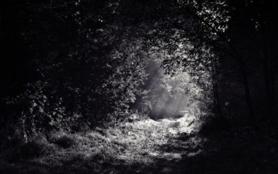 An Unexpected Journey of Self Examination