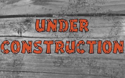 Energy Update – July 5, 2016