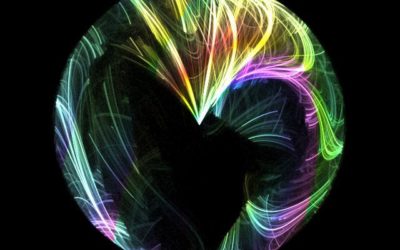 Energy Update – August 24, 2016