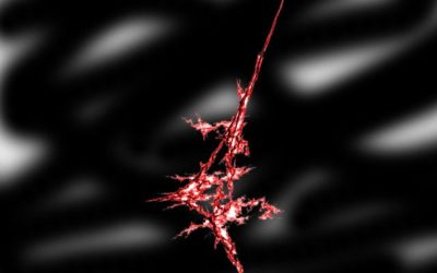 A Day in the Life – October 10, 2016