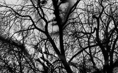 News and Views – November 7, 2016