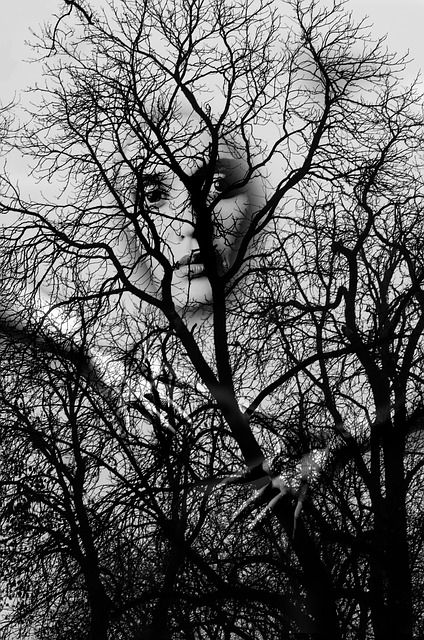 News and Views – November 7, 2016