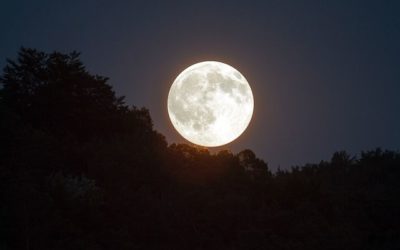 Energy Update for Full Moons