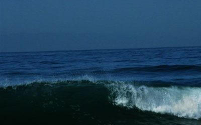 Energy Update – June 5, 2017