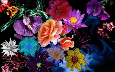 News and Views – August 21, 2017