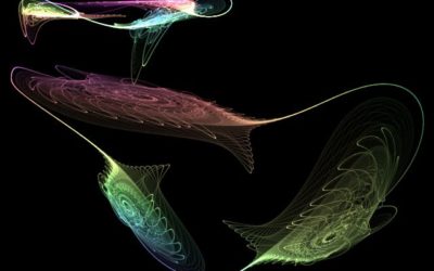 News and Views from the Other Side – November 20, 2017