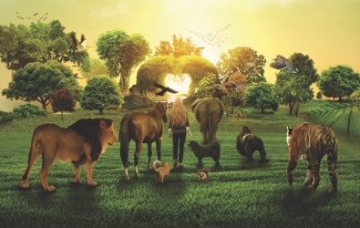 Book Review – We Walk Beside You by Sandra Mendelson