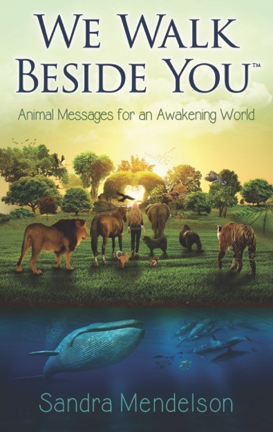 Book Review – We Walk Beside You by Sandra Mendelson