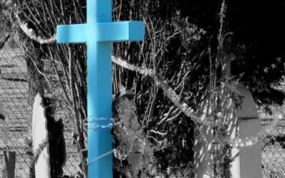 News and Views – May 21, 2018