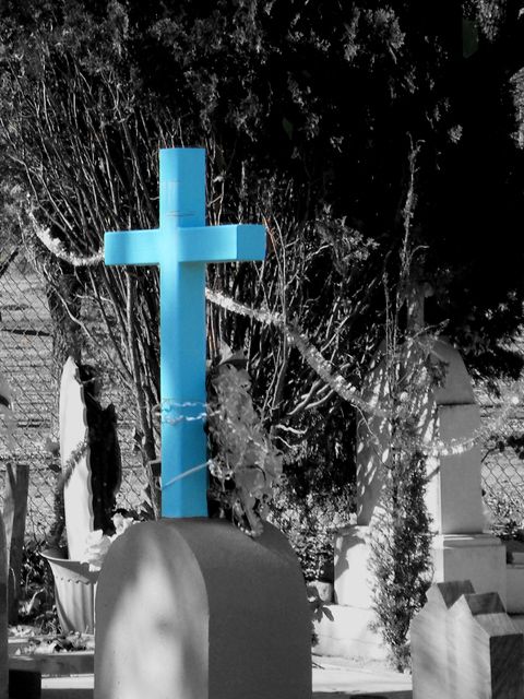 News and Views – May 21, 2018