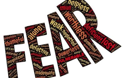 Energy Update – June 24, 2018