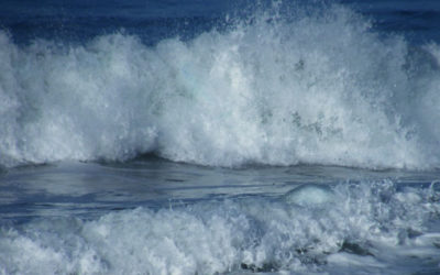 Energy Update – August 7, 2018