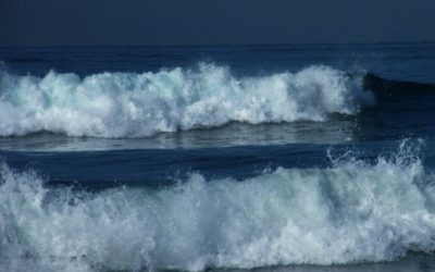 Energy Update – August  13, 2018