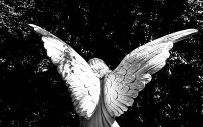 Can An Angel Become Human?