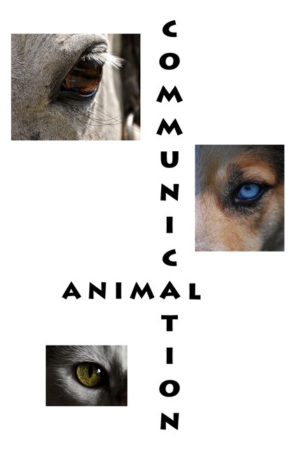 Animal Communication 101