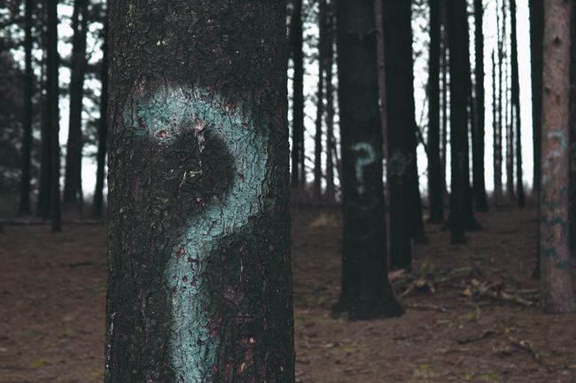 Your Meta Questions – February 17, 2019