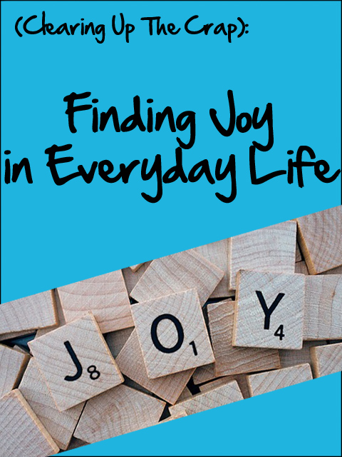 (Clearing Up The Crap): Finding Joy in Everyday Life