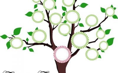 What Can We Accomplish Together?