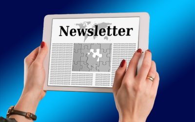 Reality Undefined Newsletter – 2020