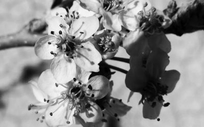 Energy Update – March 01, 2020