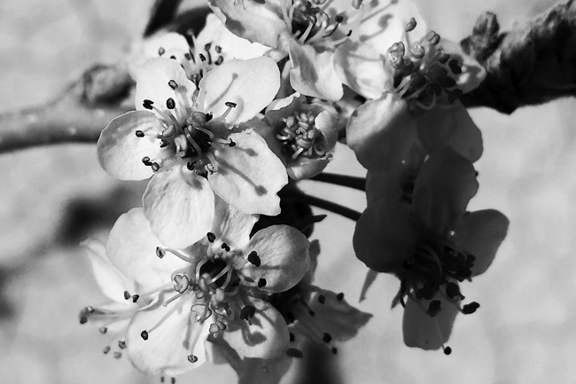 Energy Update – March 01, 2020