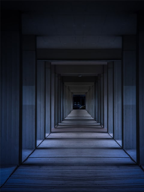 Your Meta Questions – February 2, 2020