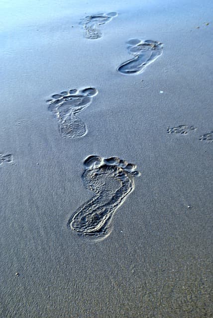 The Belly of the Beast  – Part Two