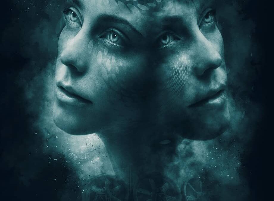 An Abridged Experience