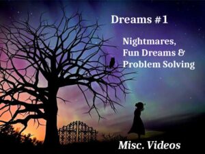 A purple, blue and orange night sky with some stars shining through. A silhouette of a large tree, heavy with bare branches and an owl perched on it. Below is a silhouette of an closed ornate metal gate and a silhouette of a young girl looking up at the owl. At the lower right bottom reads "Misc. Videos". The top right says, "Dreams #1. Nightmares, Fun Dreams & Problem Solving."