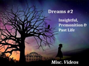 A purple, blue and orange night sky with some stars shining through. A silhouette of a large tree, heavy with bare branches and an owl perched on it. Below is a silhouette of an closed ornate metal gate and a silhouette of a young girl looking up at the owl. At the lower right bottom reads "Misc. Videos". The top right says, "Dreams #2 - Insightful, Premonition and Night Terror.