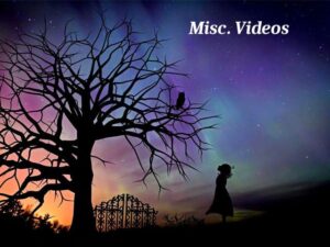 A purple, blue and orange night sky with some stars shining through. A silhouette of a large tree, heavy with bare branches and an owl perched on it. Below is a silhouette of an closed ornate metal gate and a silhouette of a young girl looking up at the owl. At the upper right top reads "Misc. Videos".