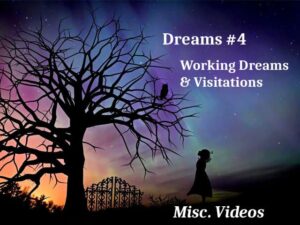 A purple, blue and orange night sky with some stars shining through. A silhouette of a large tree, heavy with bare branches and an owl perched on it. Below is a silhouette of an closed ornate metal gate and a silhouette of a young girl looking up at the owl. At the lower right bottom reads "Misc. Videos". The top right says, "Dreams #4. Working Dreams and Visitation Dreams"