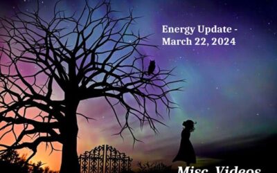 Energy Update – March 22, 2024