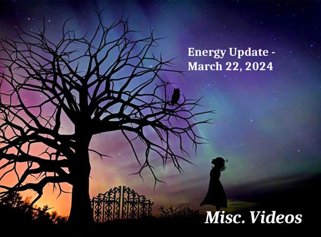 Energy Update – March 22, 2024