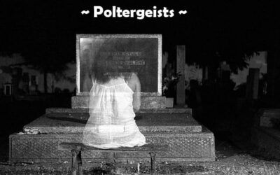 Paranormal 4 – Poltergeists