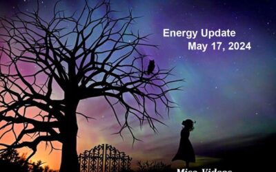 Energy Update – May 17, 2024